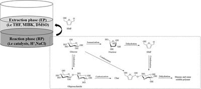 Development of Sustainable Catalytic Pathways for Furan Derivatives